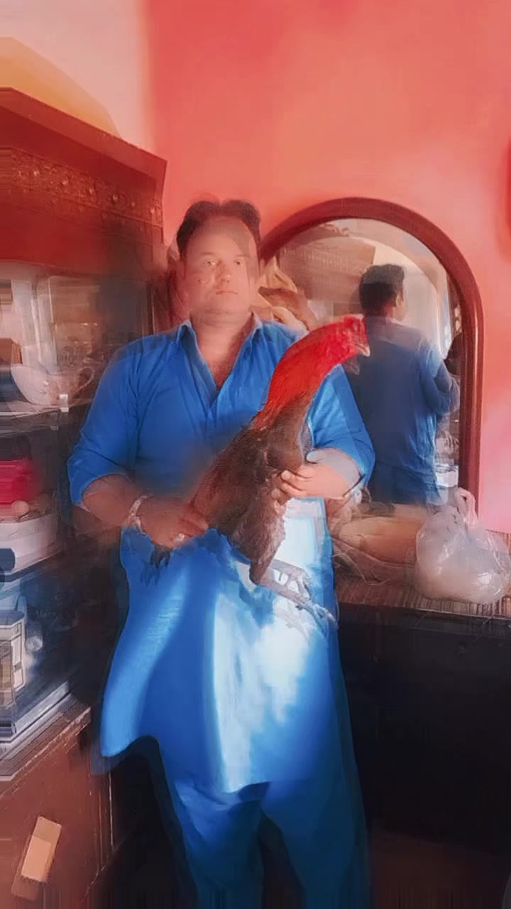 @Tanveer Bhatti
