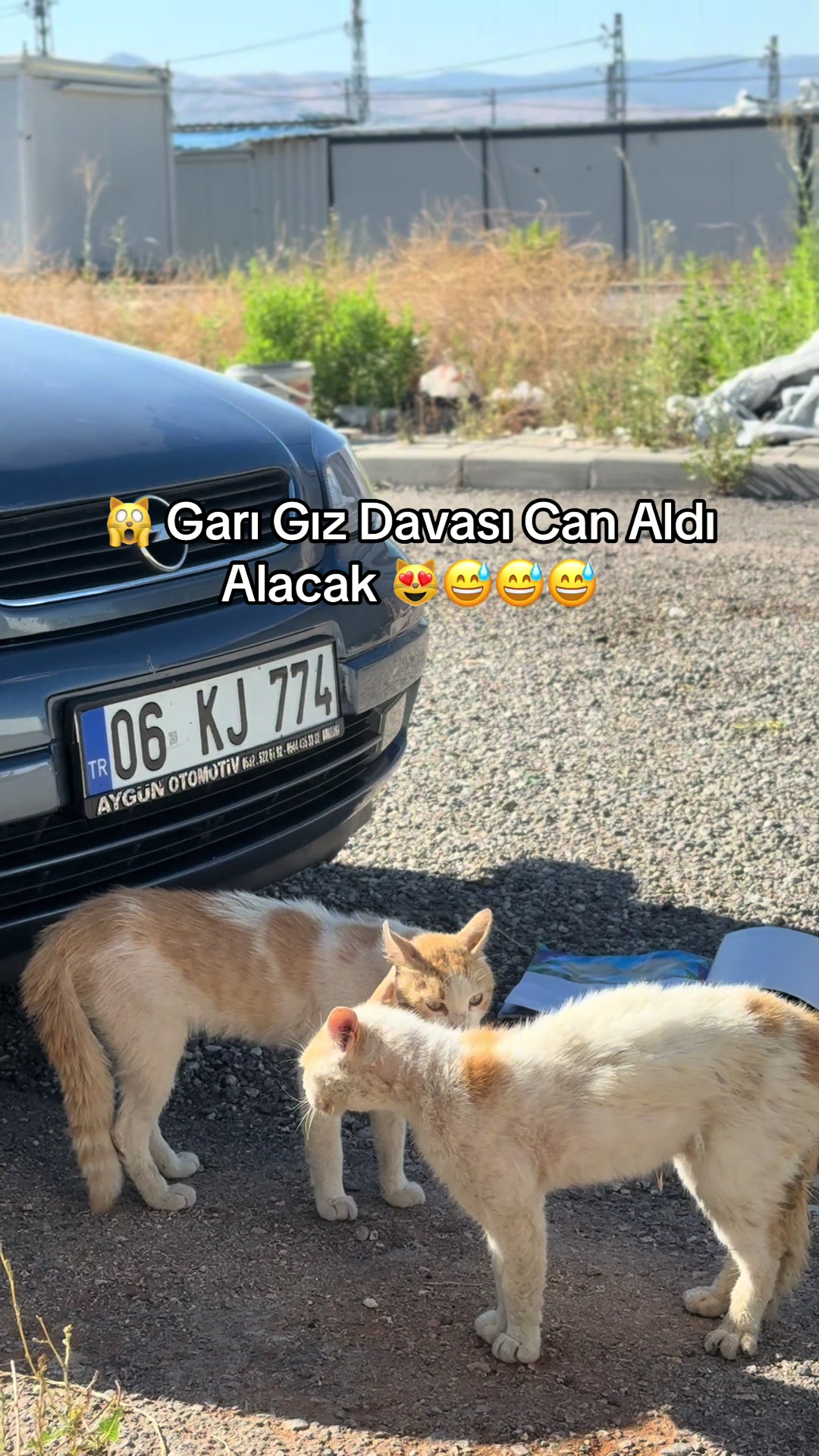 @Haci Mehmet GÖKKAYA