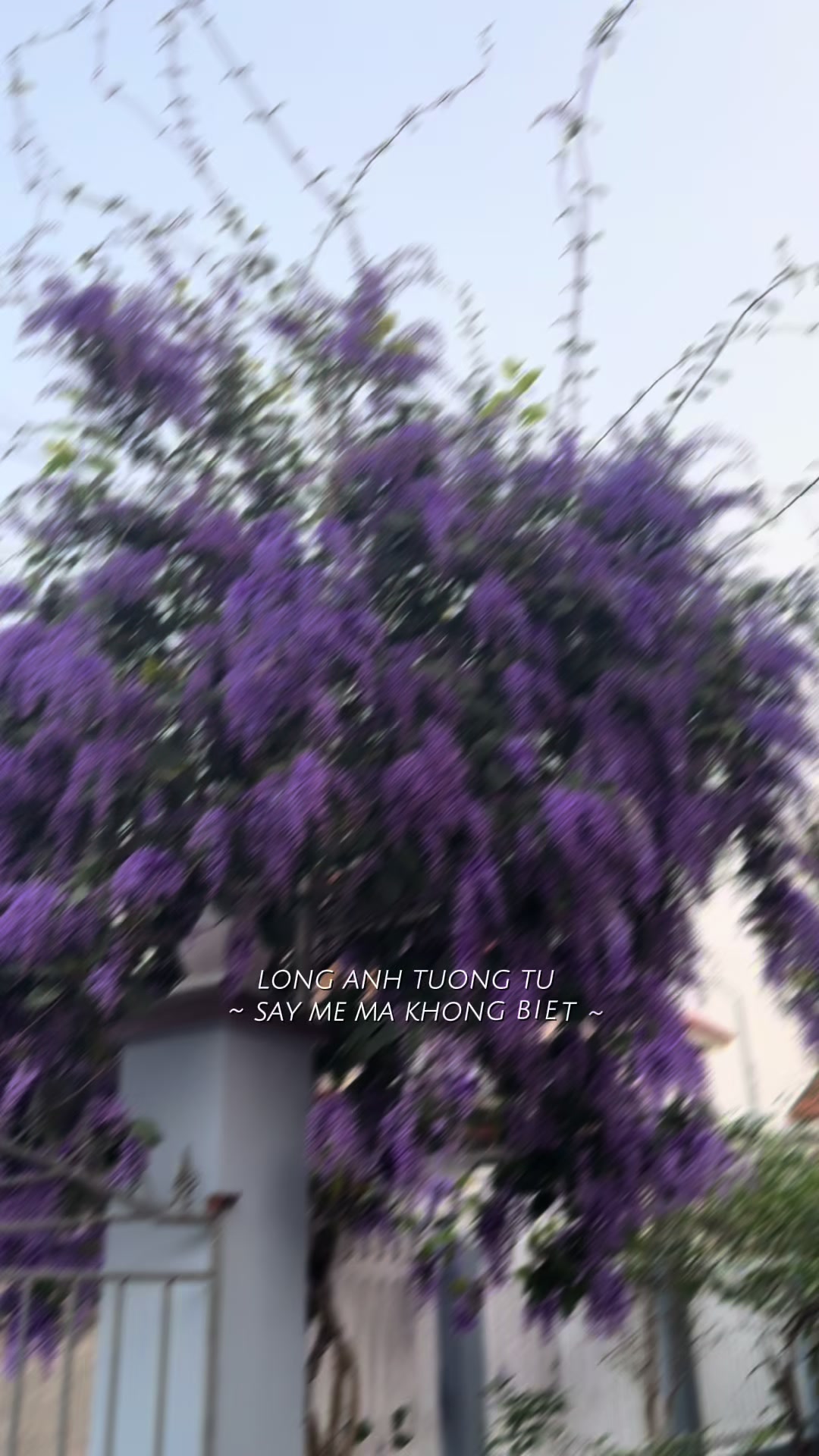 @Minh Hà🌸