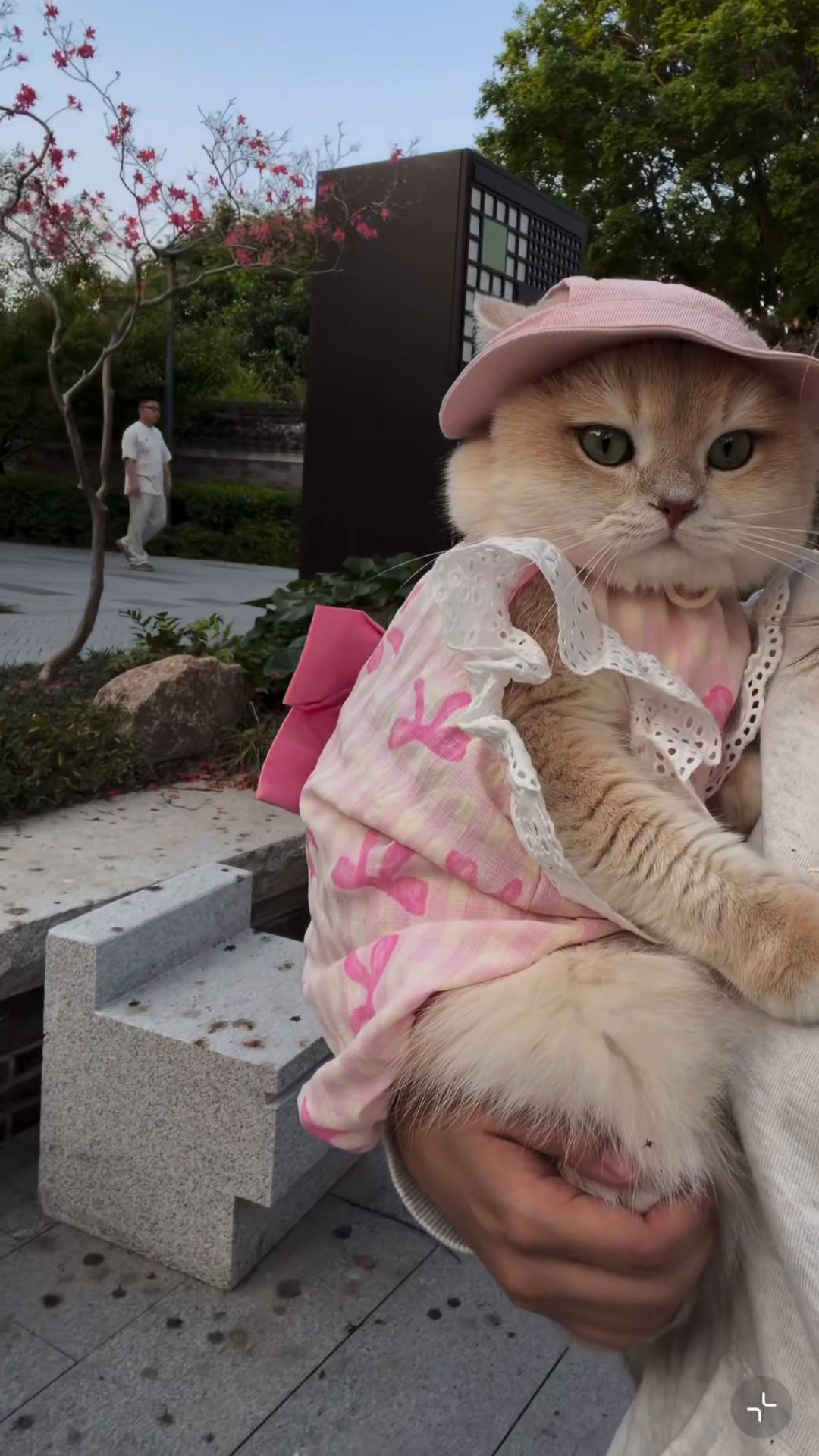 @My Daily Dose of Aww