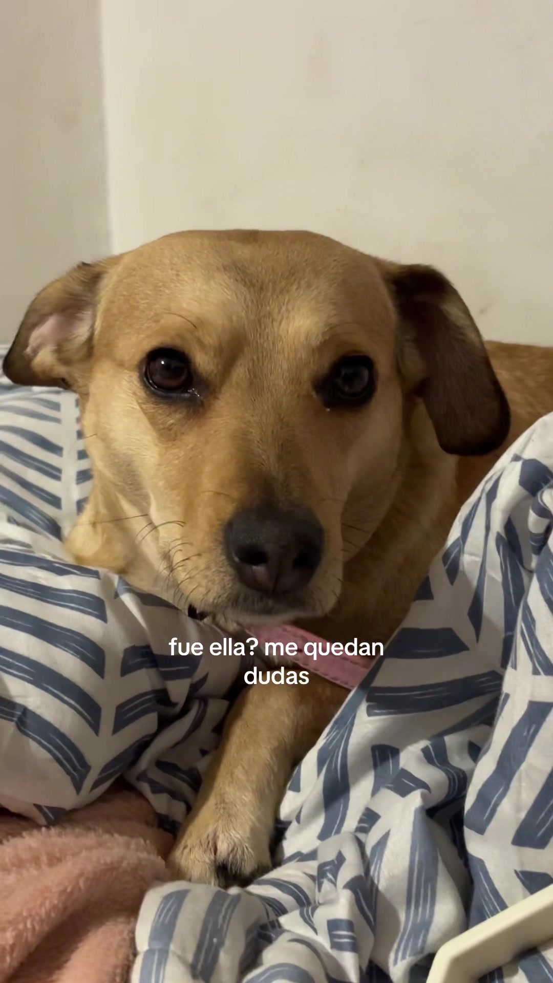 @Angie