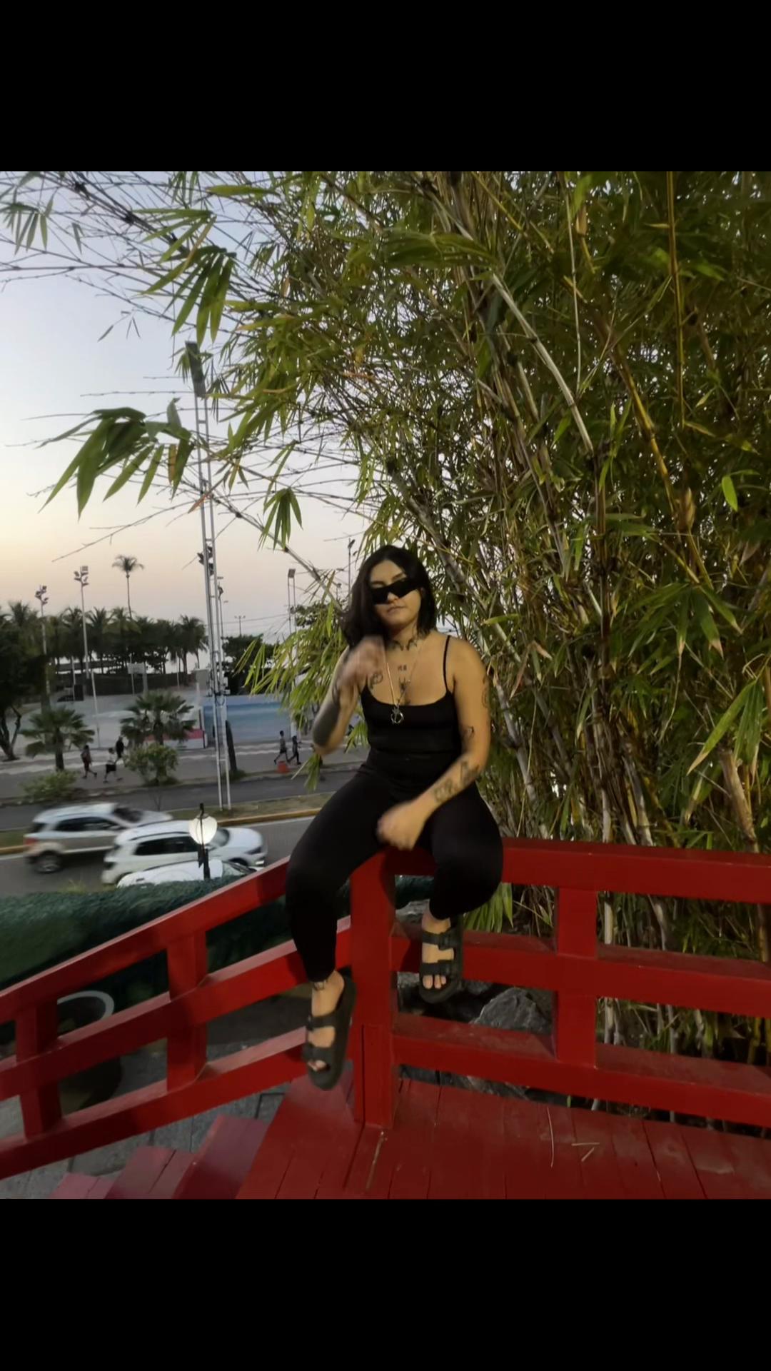 @raveninhamota015