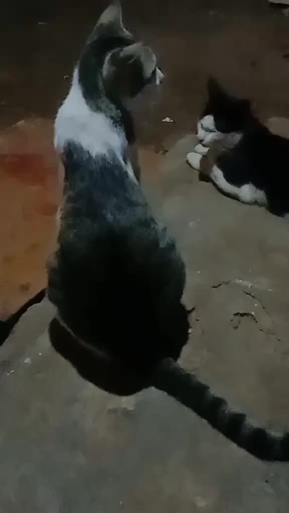 @iyan aja