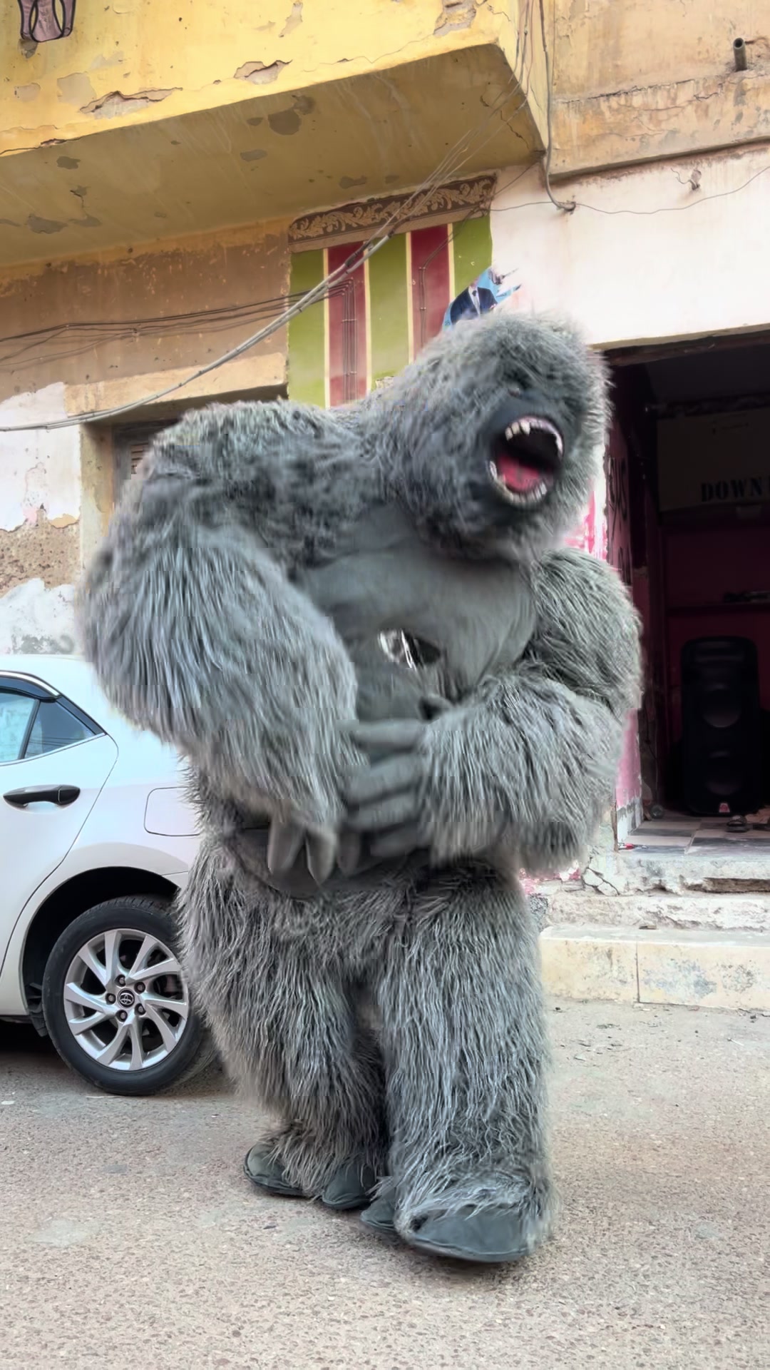 @بودا بتاع غوريلا🦍🔥
