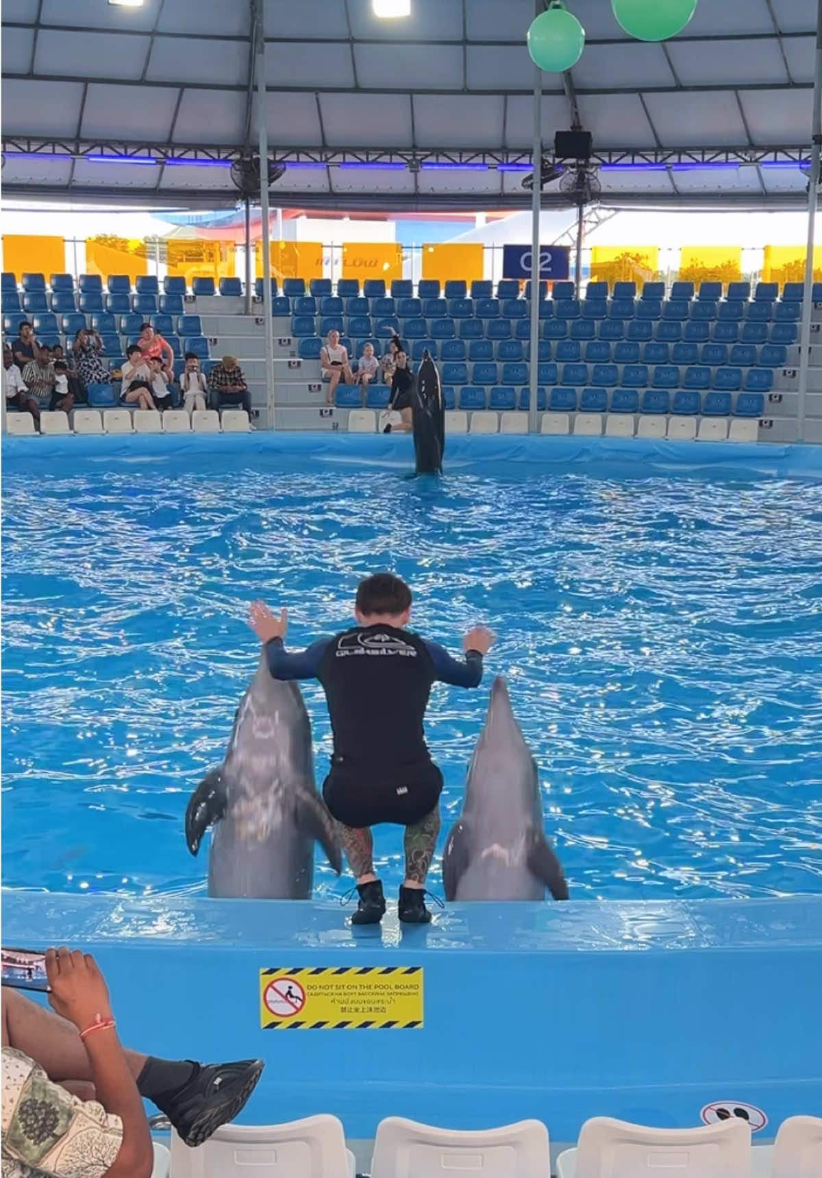 @Pattaya Dolphinarium