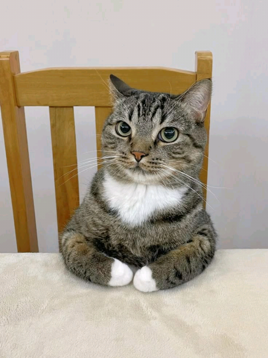 @𝗴𝗮𝗱𝗼𝗽𝘆𝗮𝘁