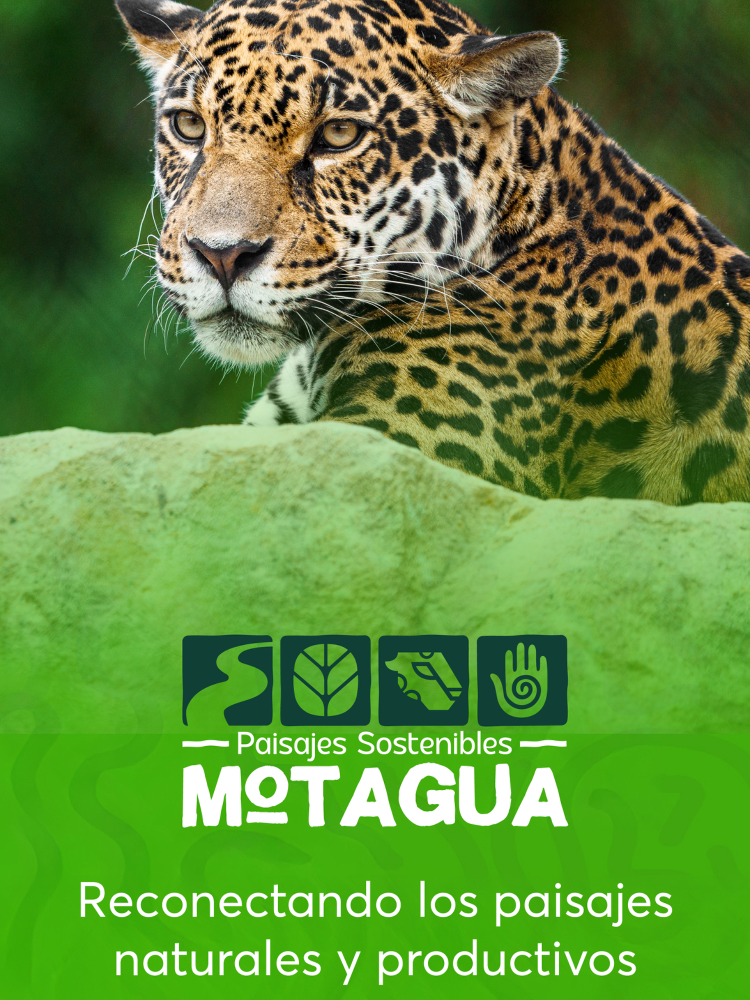 @Ministerio de Ambiente GT