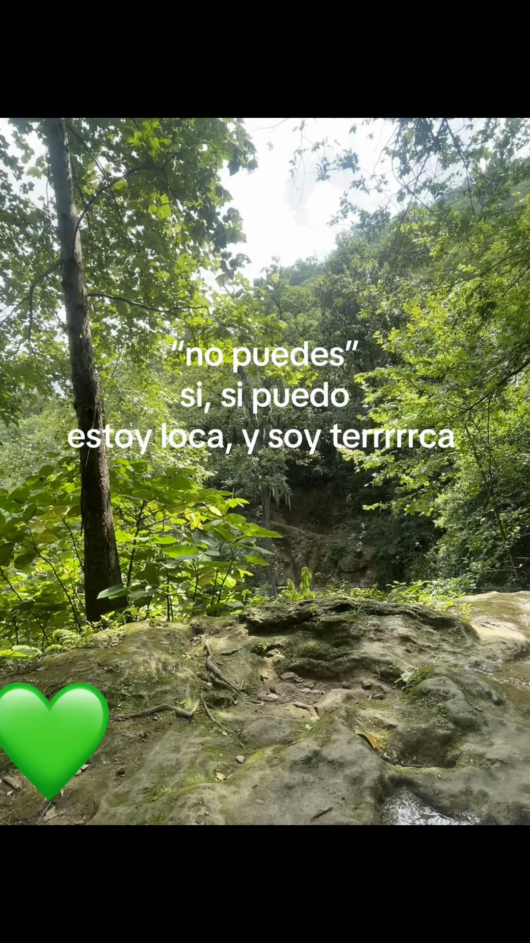 @lafav_iris