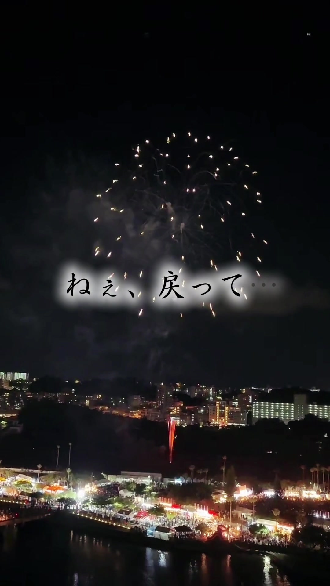 @🌺Hiro沖散歩🤍🌺