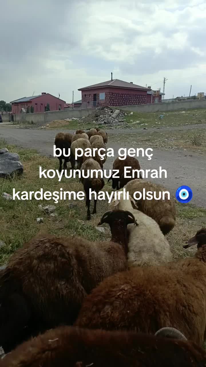 @NEVROZ KARATAY