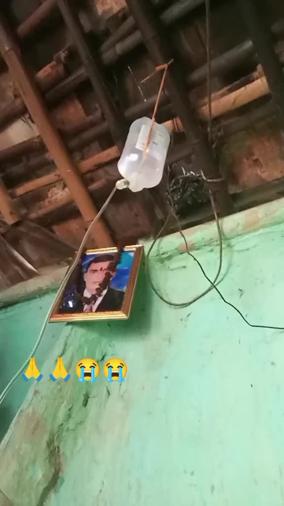 @life is not possible