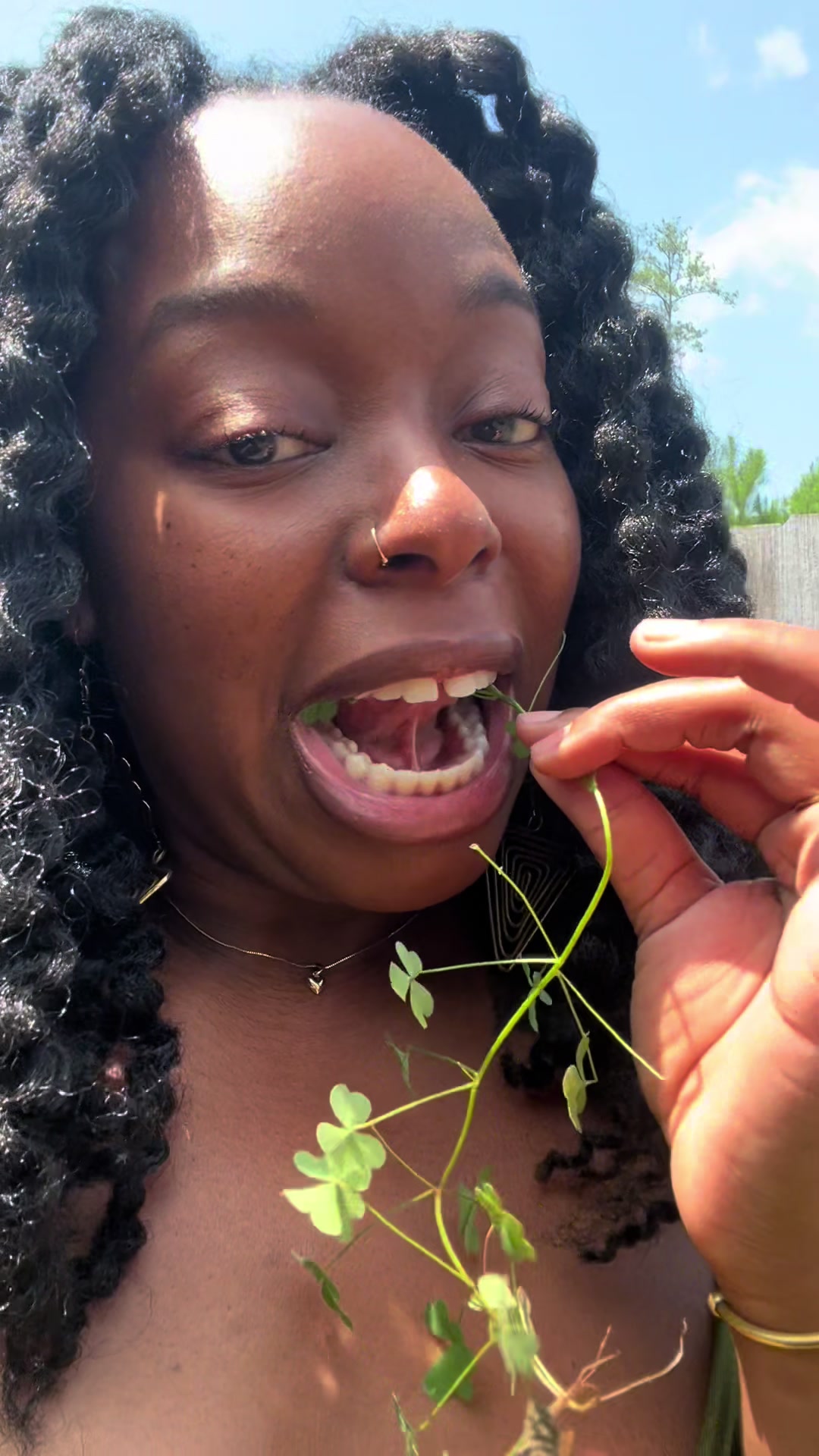 @Essencetheherbalist