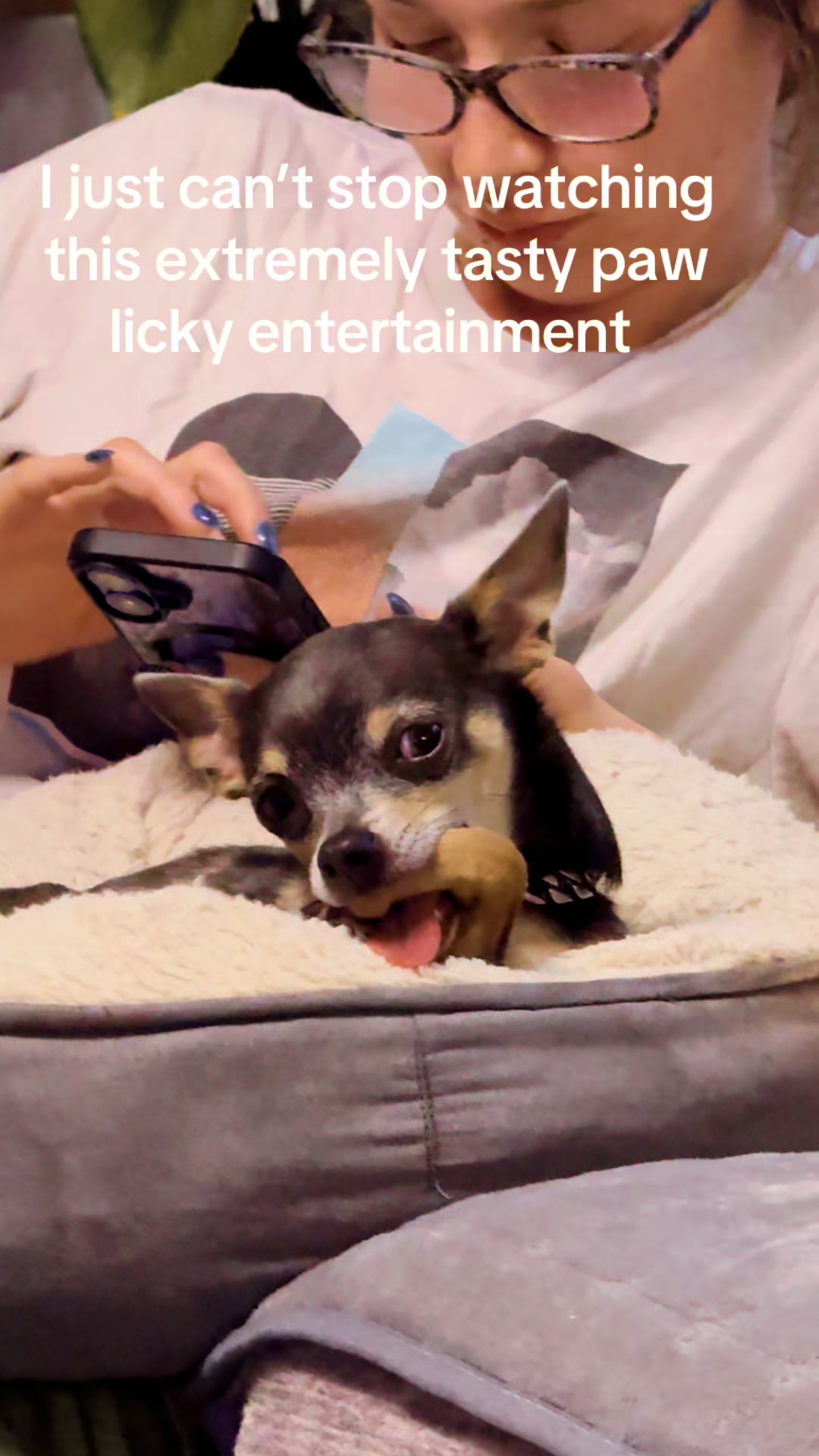 @Dog saver 8