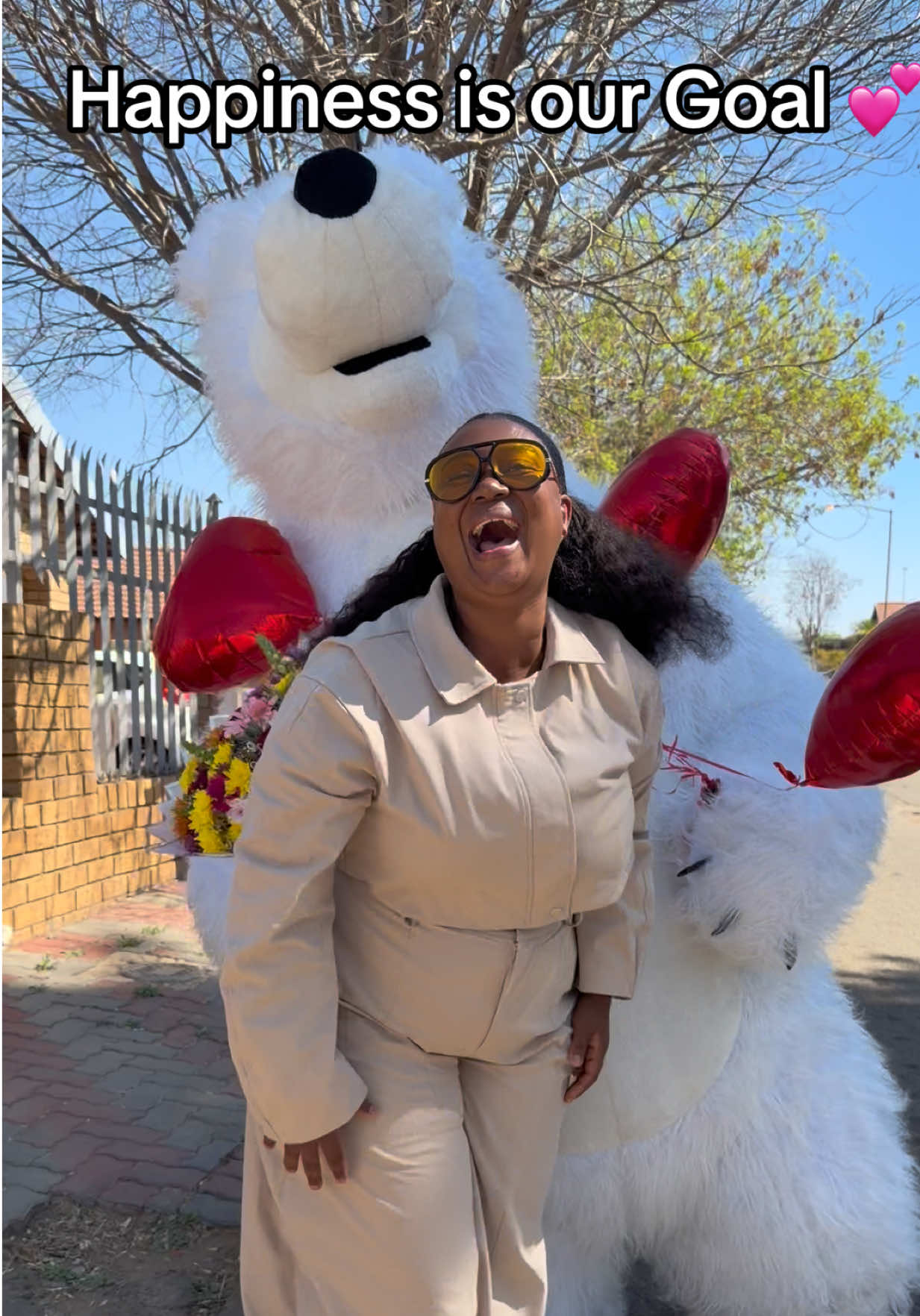 @dancingmascotssa