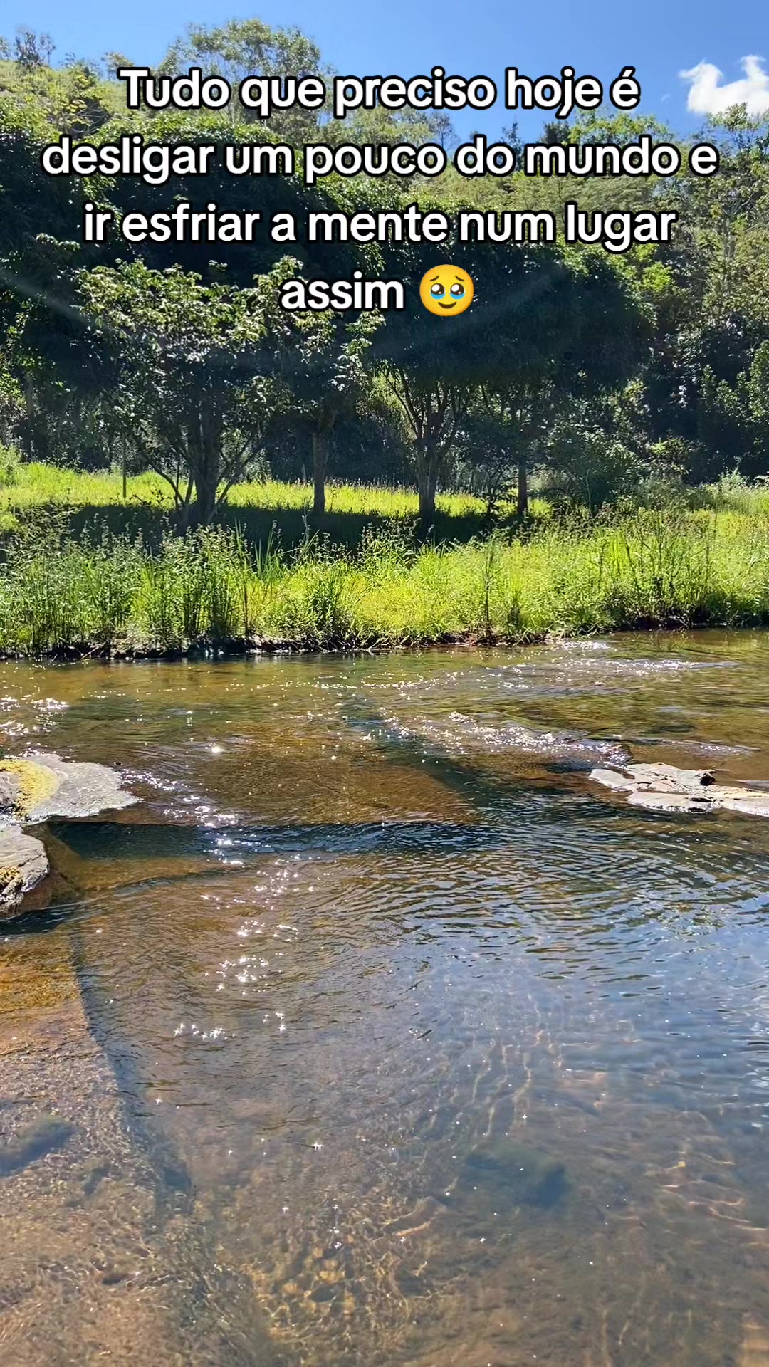 @Roça 🤠🌱