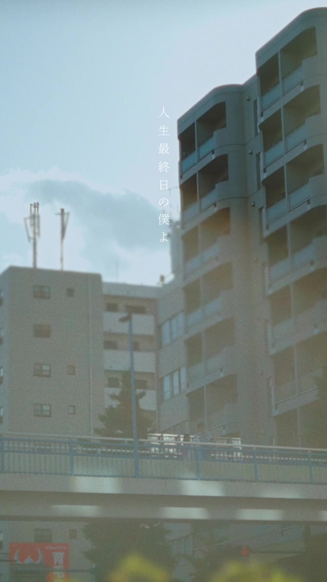 @hashiguchi_wacci