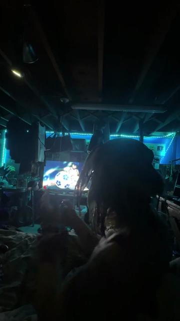 @TheReal-Tarzan