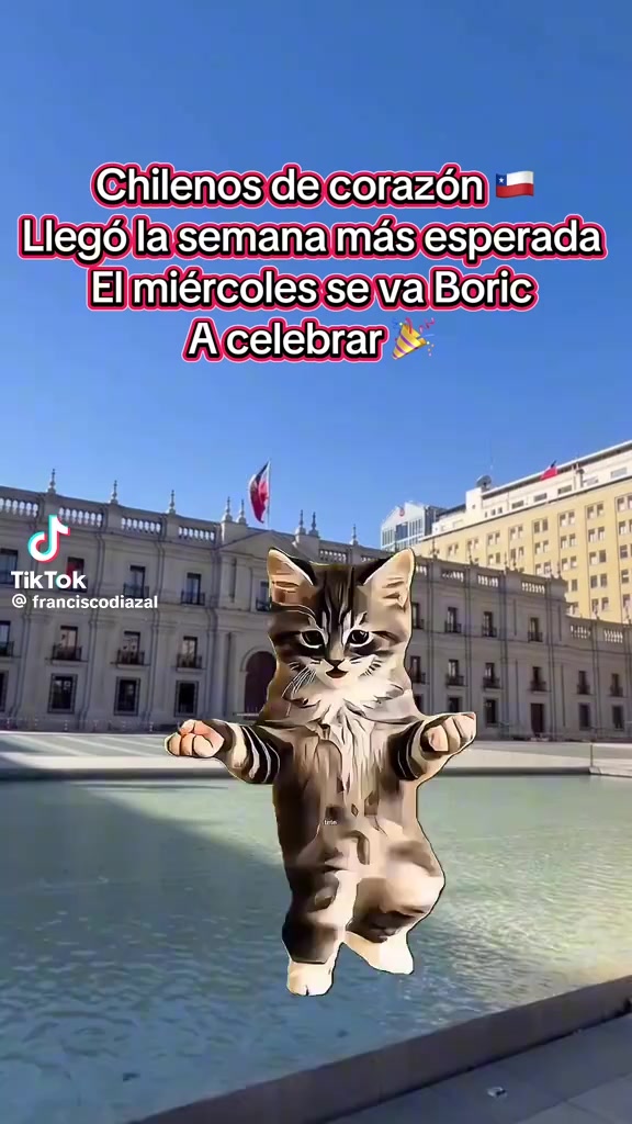 @Ale Casanguita