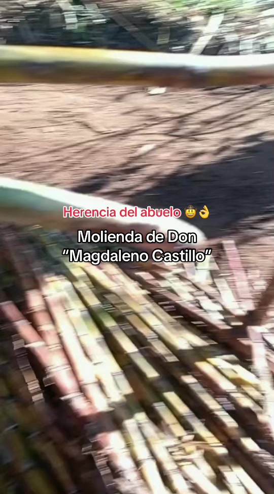 @JEY🤠💸