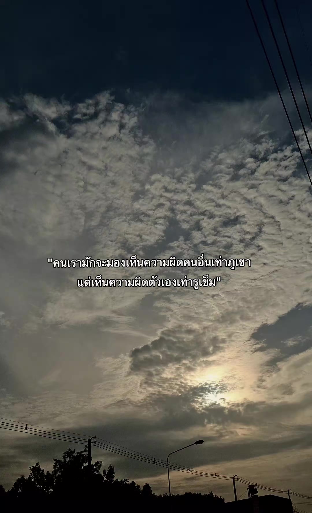 @สตอรี่'ยัยเจ้าเนื้อ≽^• ༚ • ྀི≼