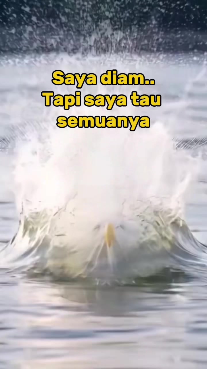 @Analia Kim