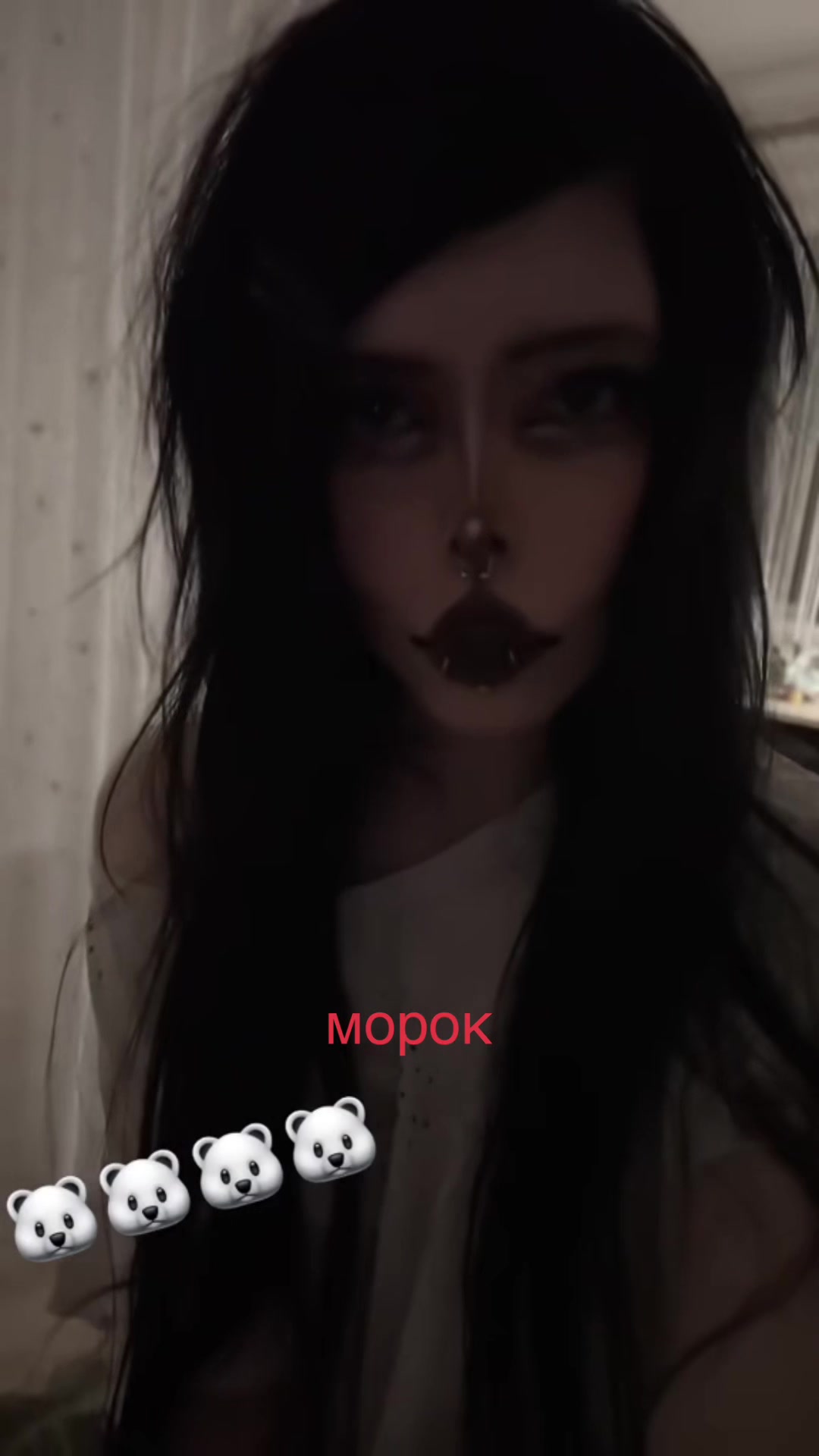 @alikoya