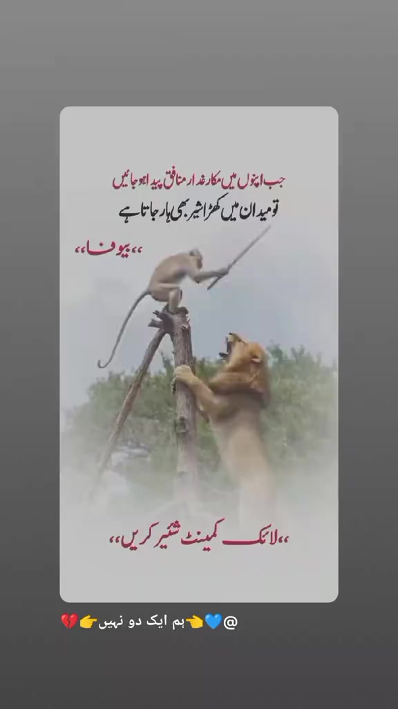 @Eجaz Qasim