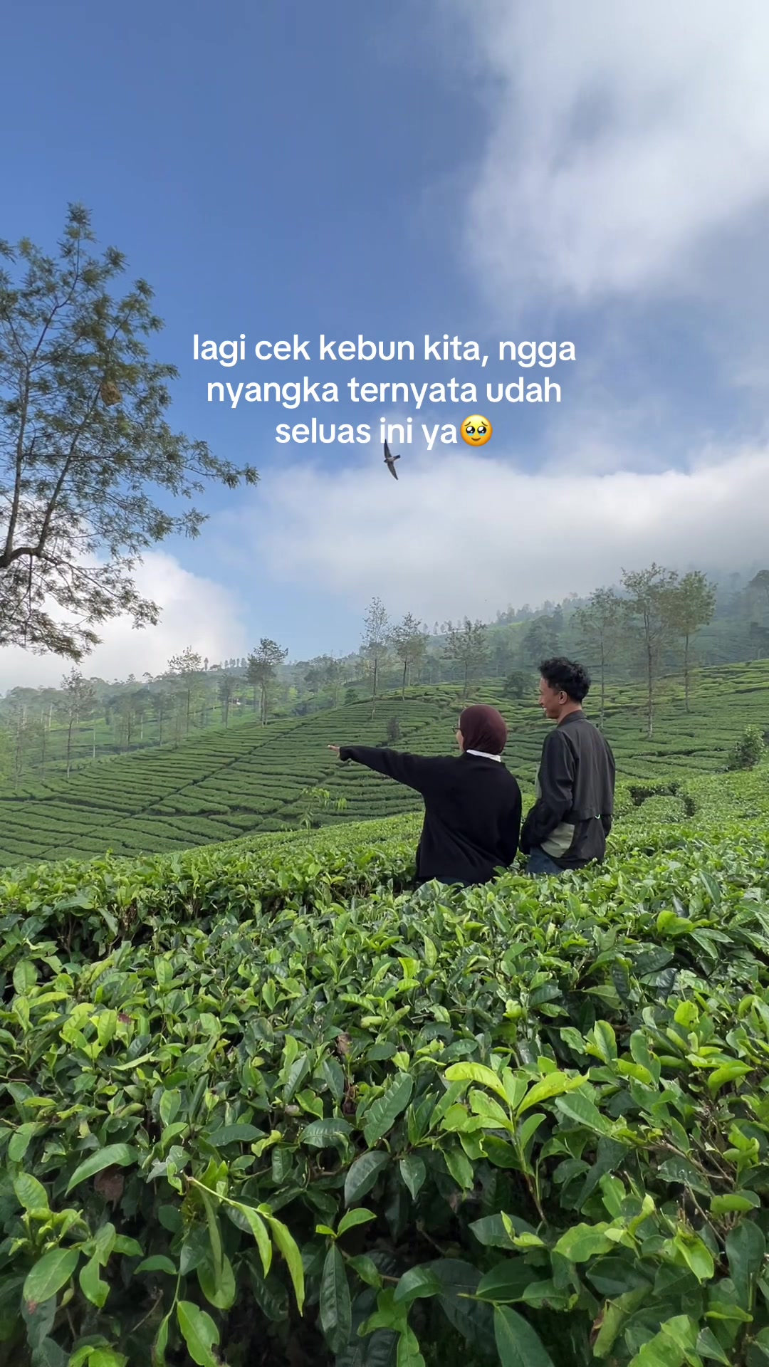 @dstnvtaa