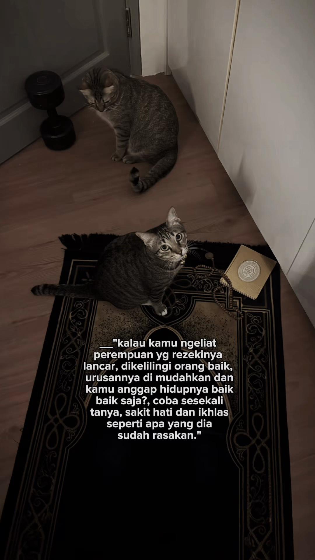 @Sheynti ceunah