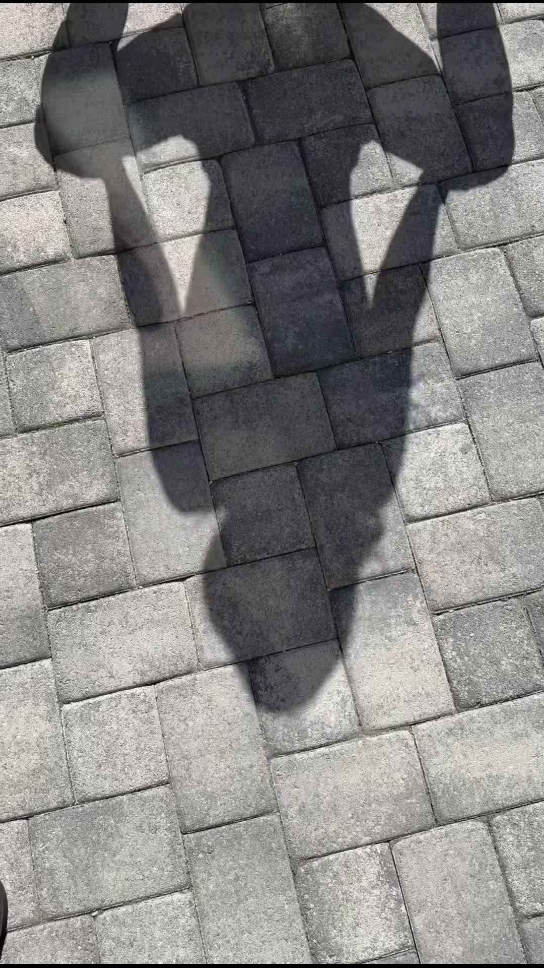 @nguynyntrang998