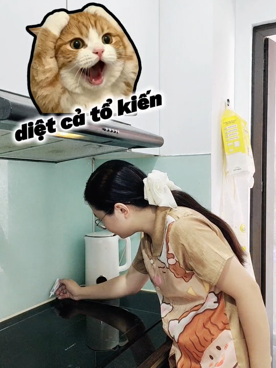 @Gia đình Mật Mật