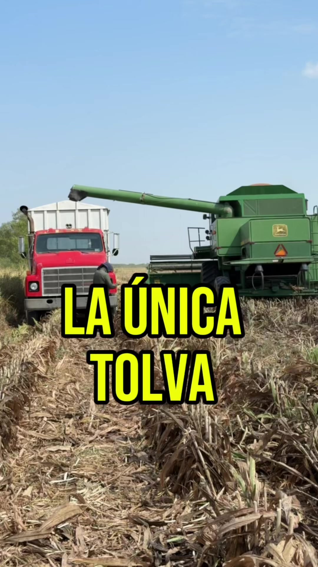 @las.2carnalas