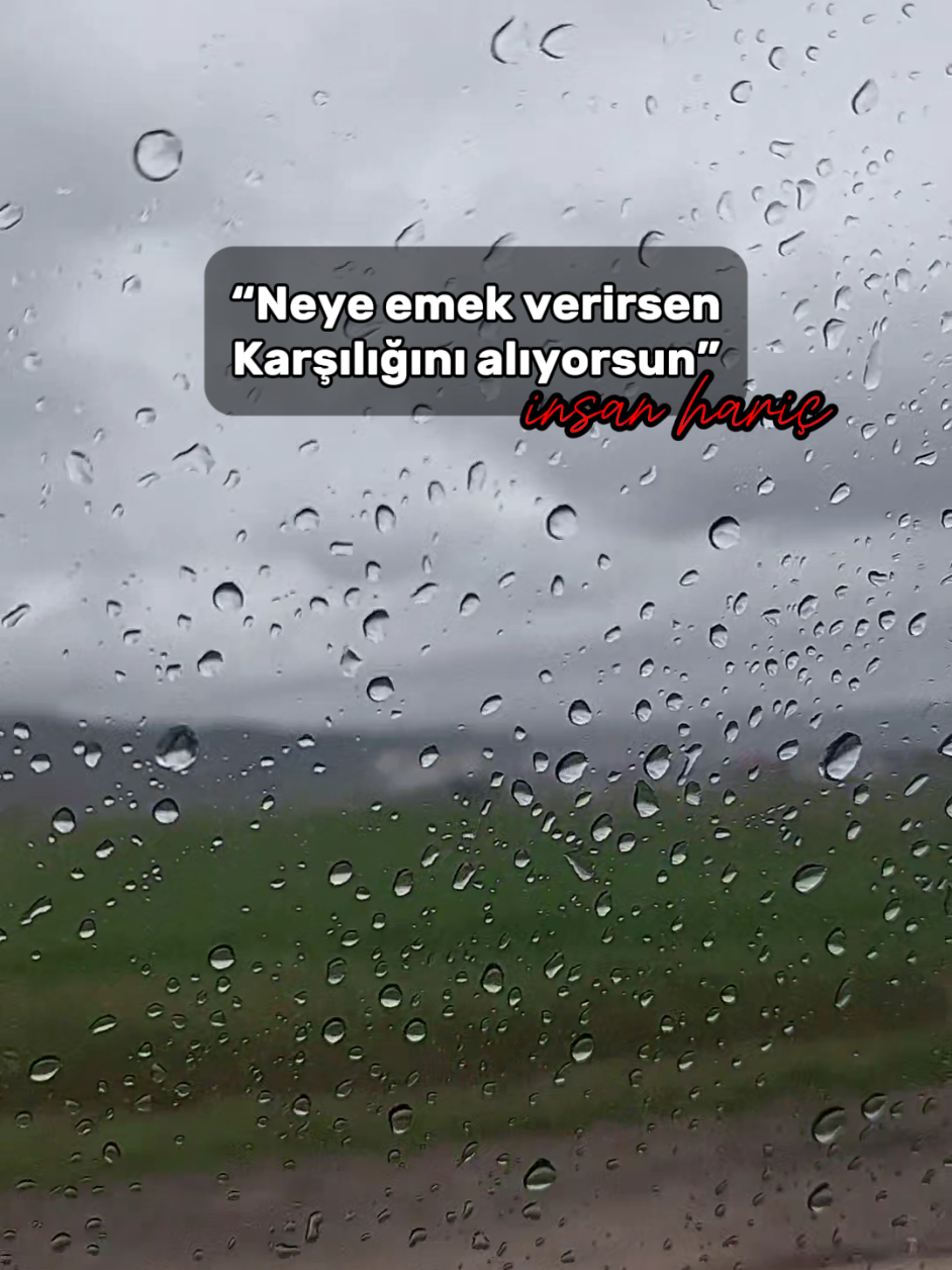 @E.Z.K 58