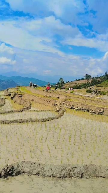 @Abhishek Rai🇳🇵❤️