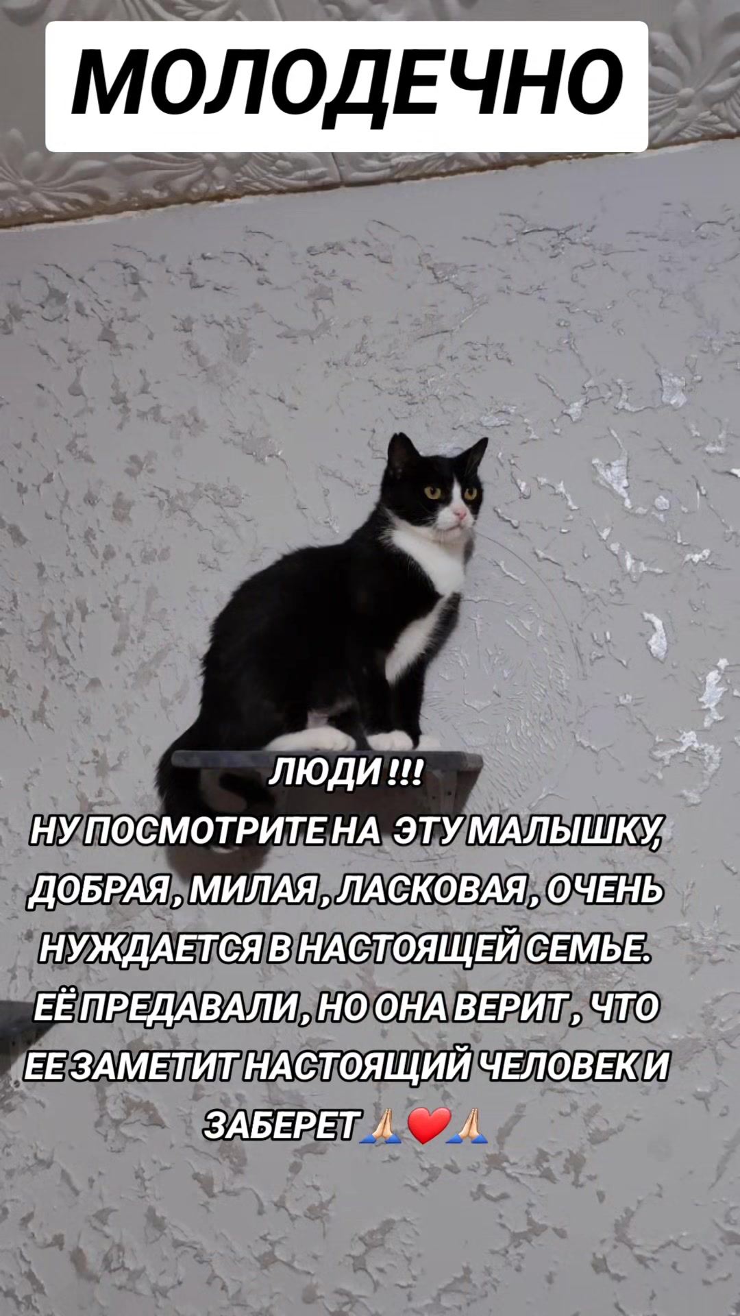 @marinka20_09