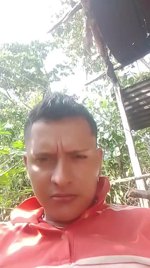 @José David