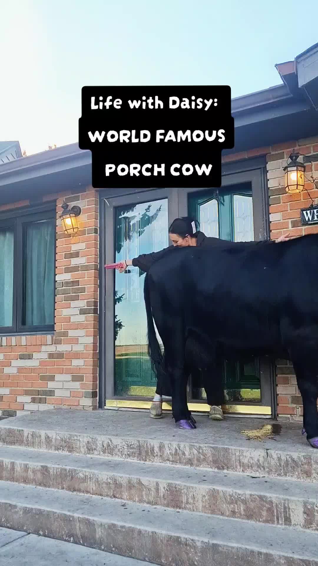 @Dakotafunnyfarm