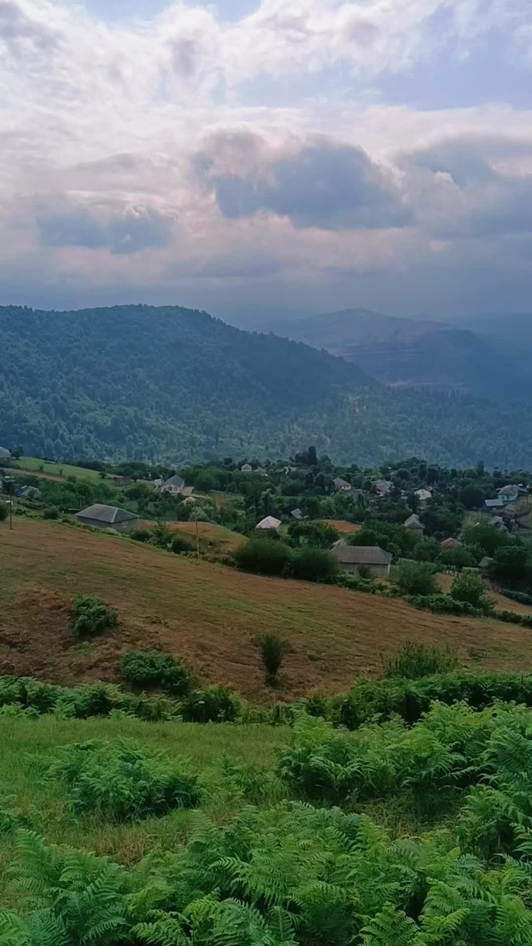 @𝐄𝐥𝐯𝐢𝐧 𝐑𝐳𝐚𝐳𝐚𝐝ə