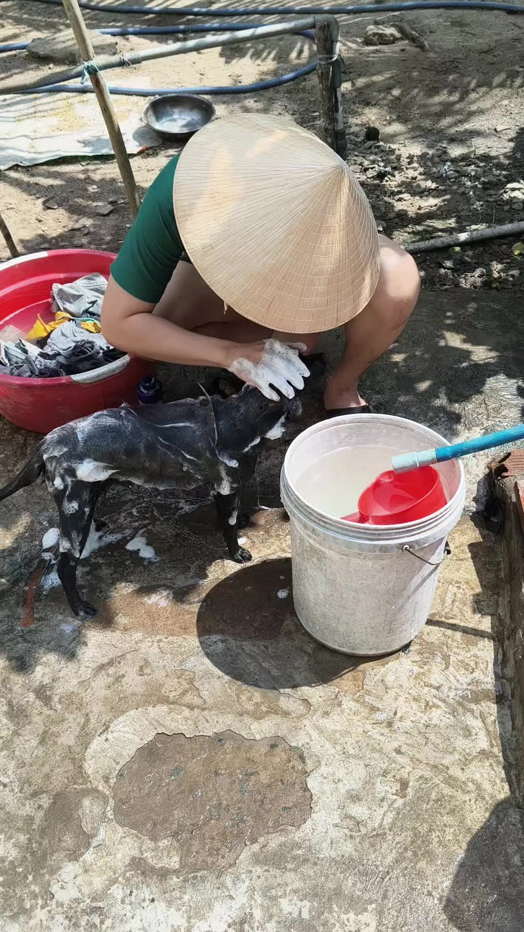 @Na sắp ba nhăm chủi