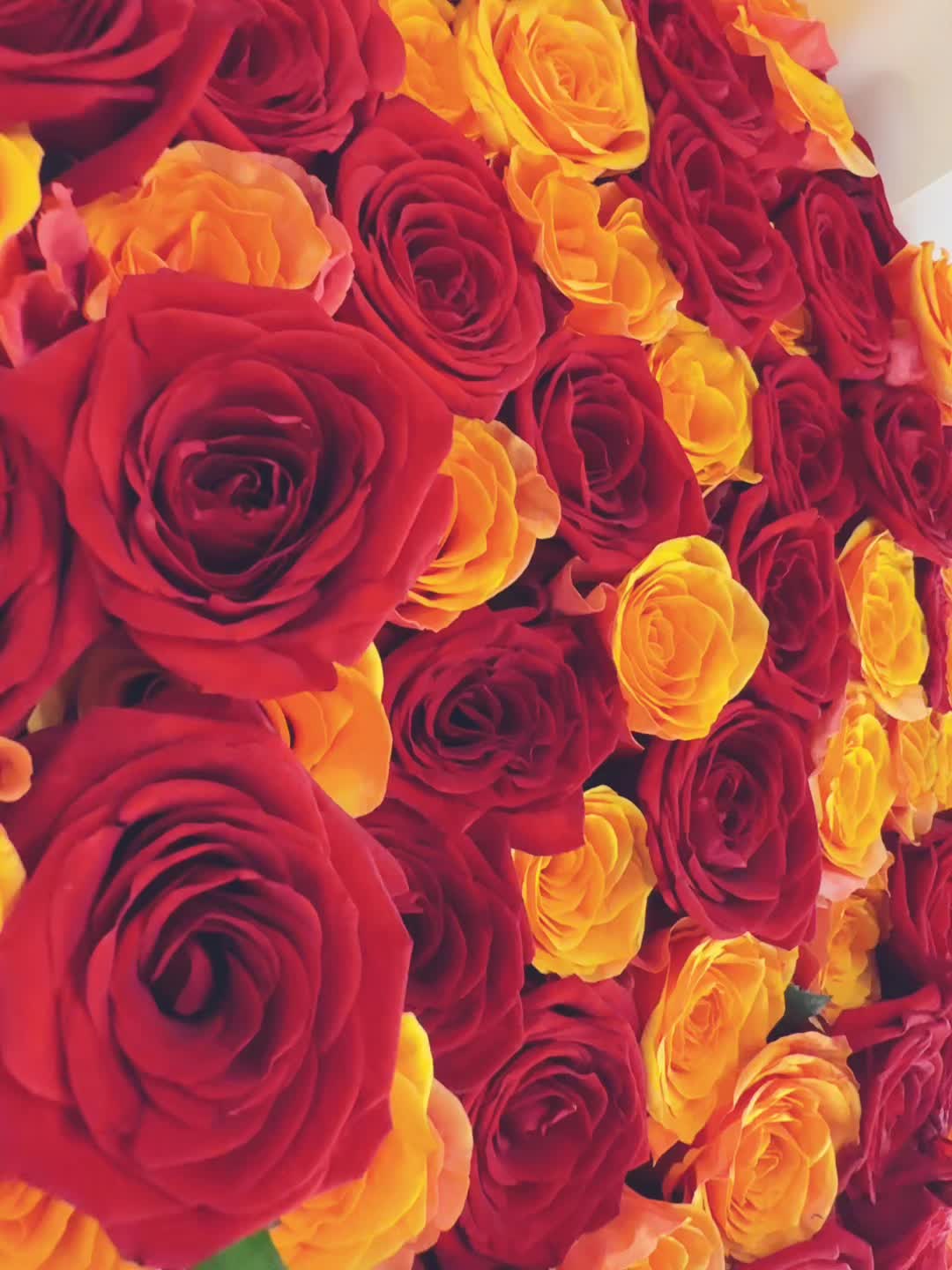 @yan_kkaa32