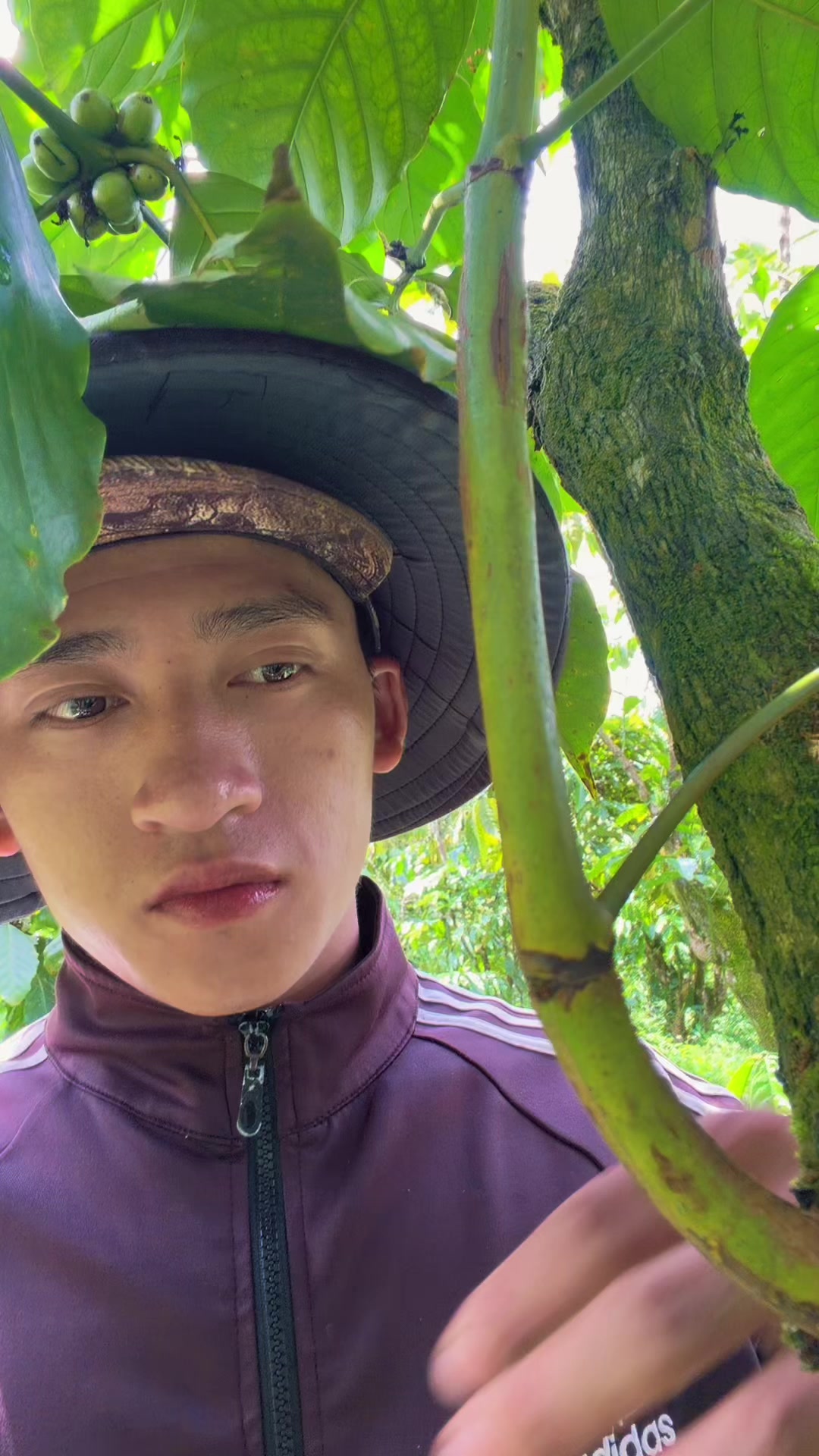 @Trần Tân