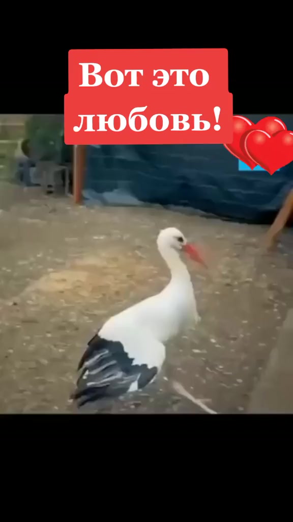 @@ Сарыкбай 💯