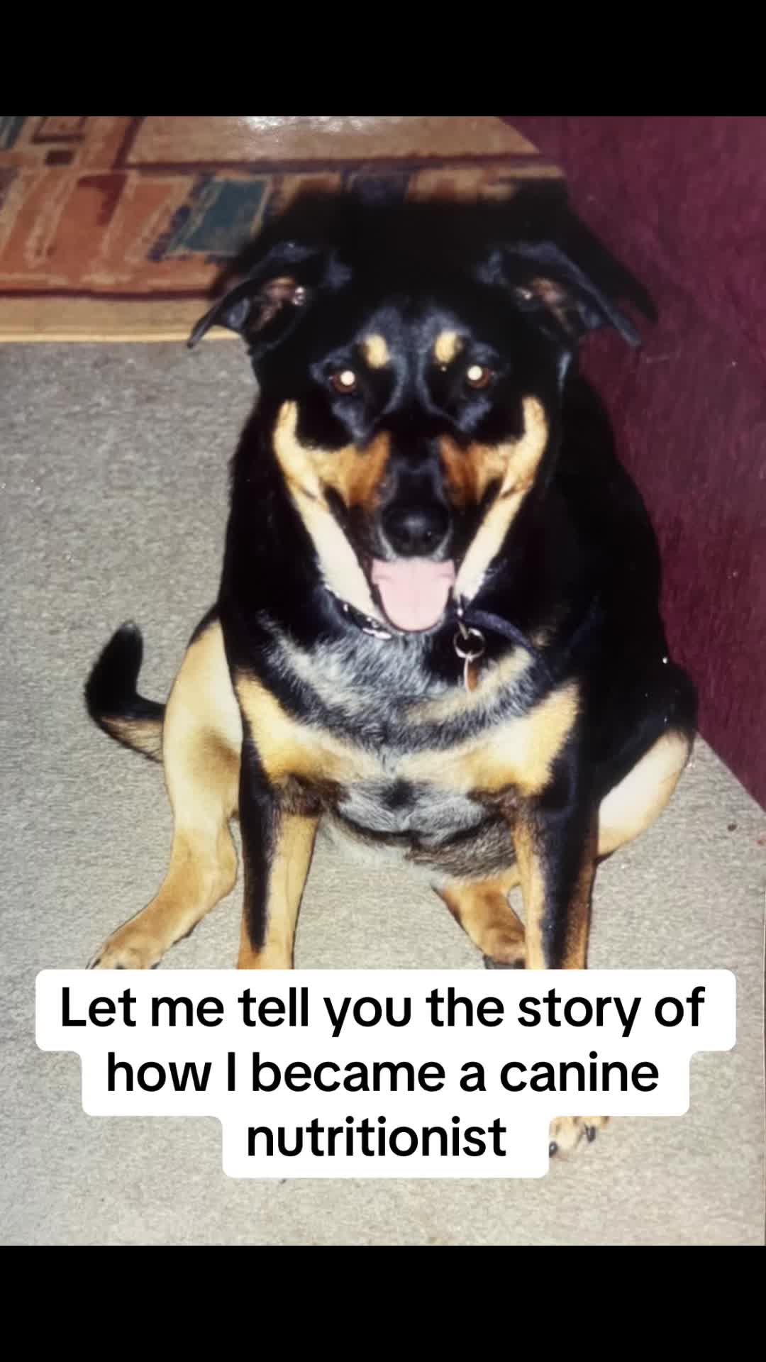 @thetreattruckwa