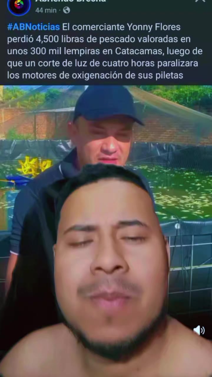 @mauroHD