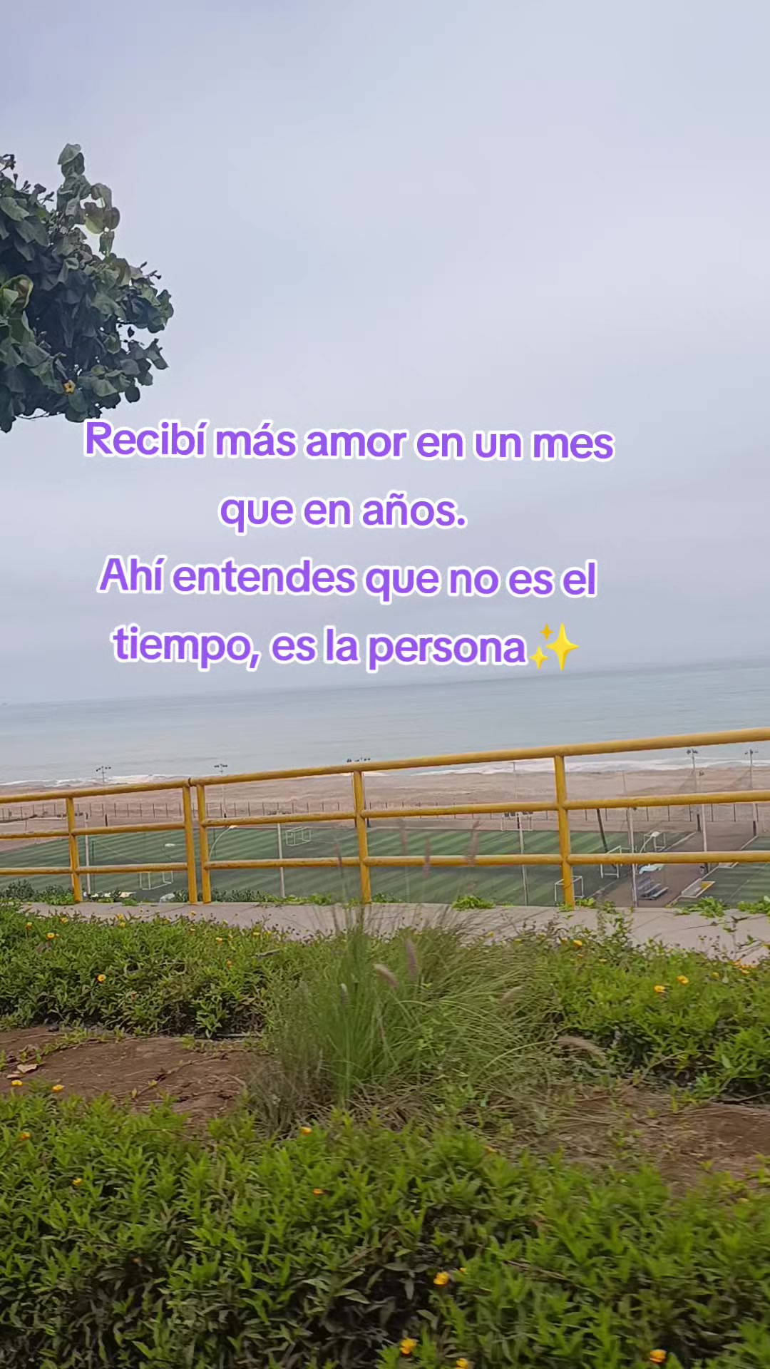 @Romina Pinedo