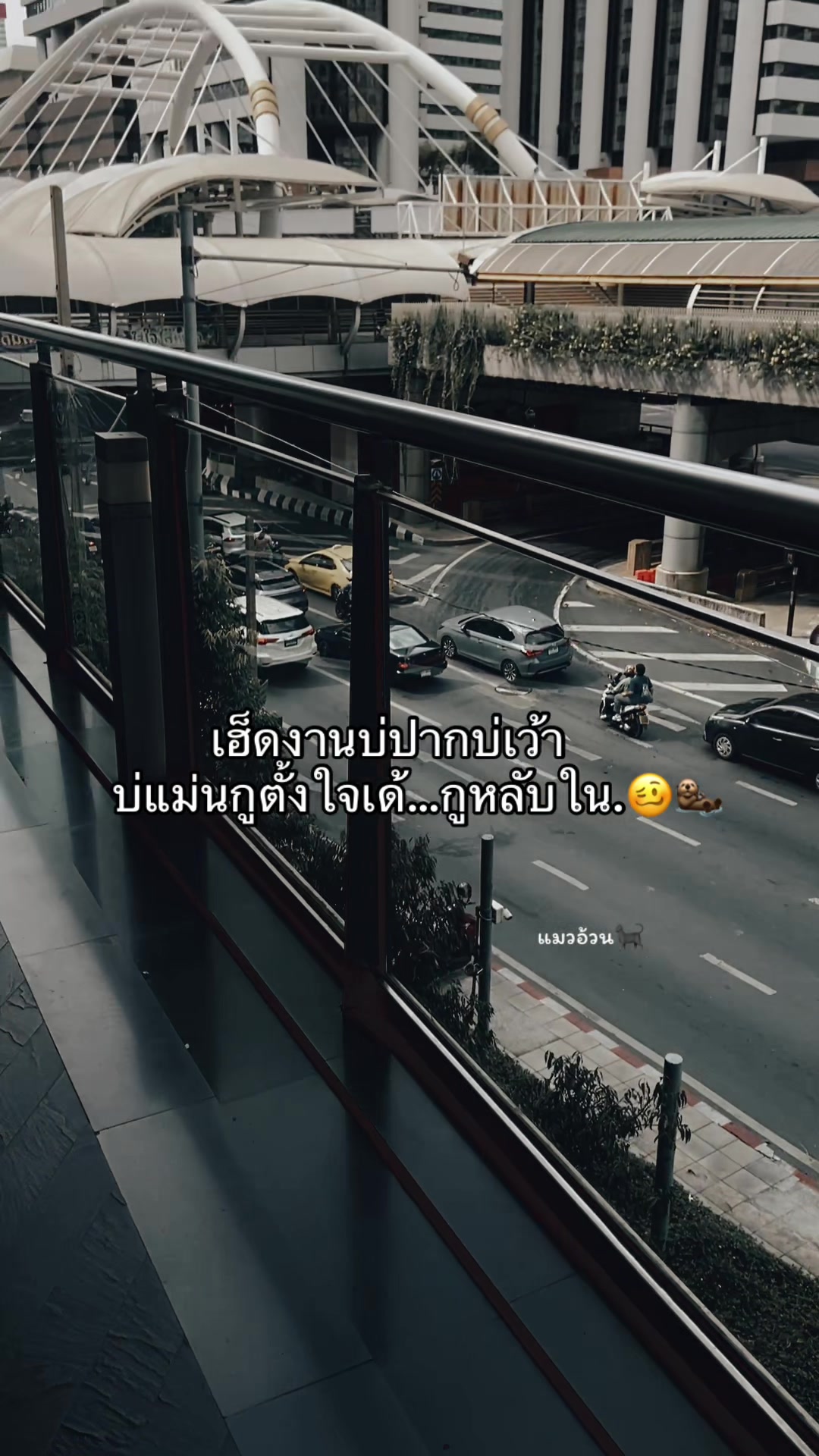 @แมวอ้วน🐈⬛