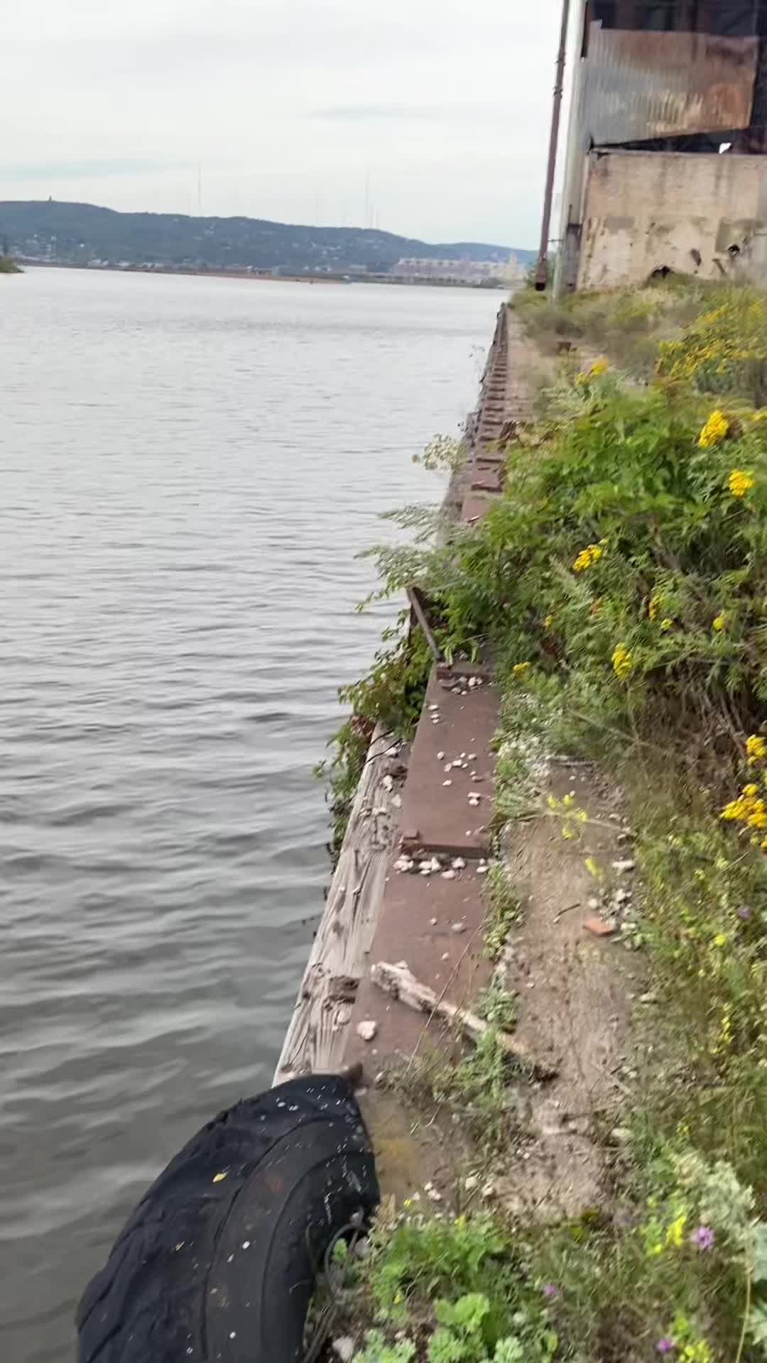 @Unknown