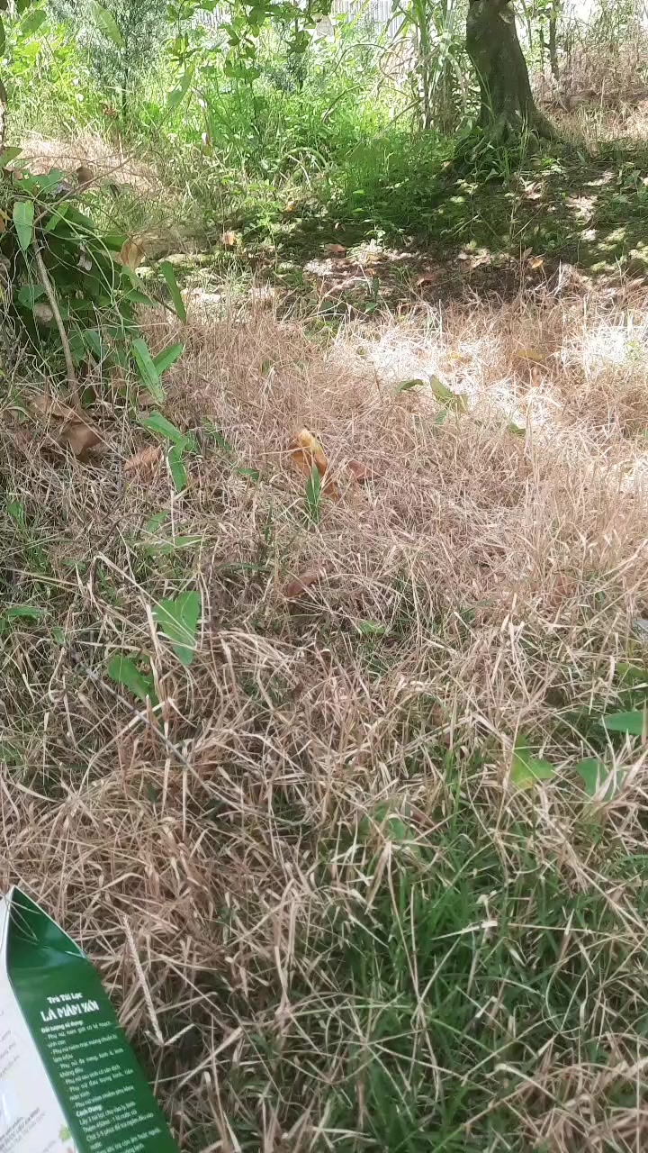 @Diễm chia sẻ