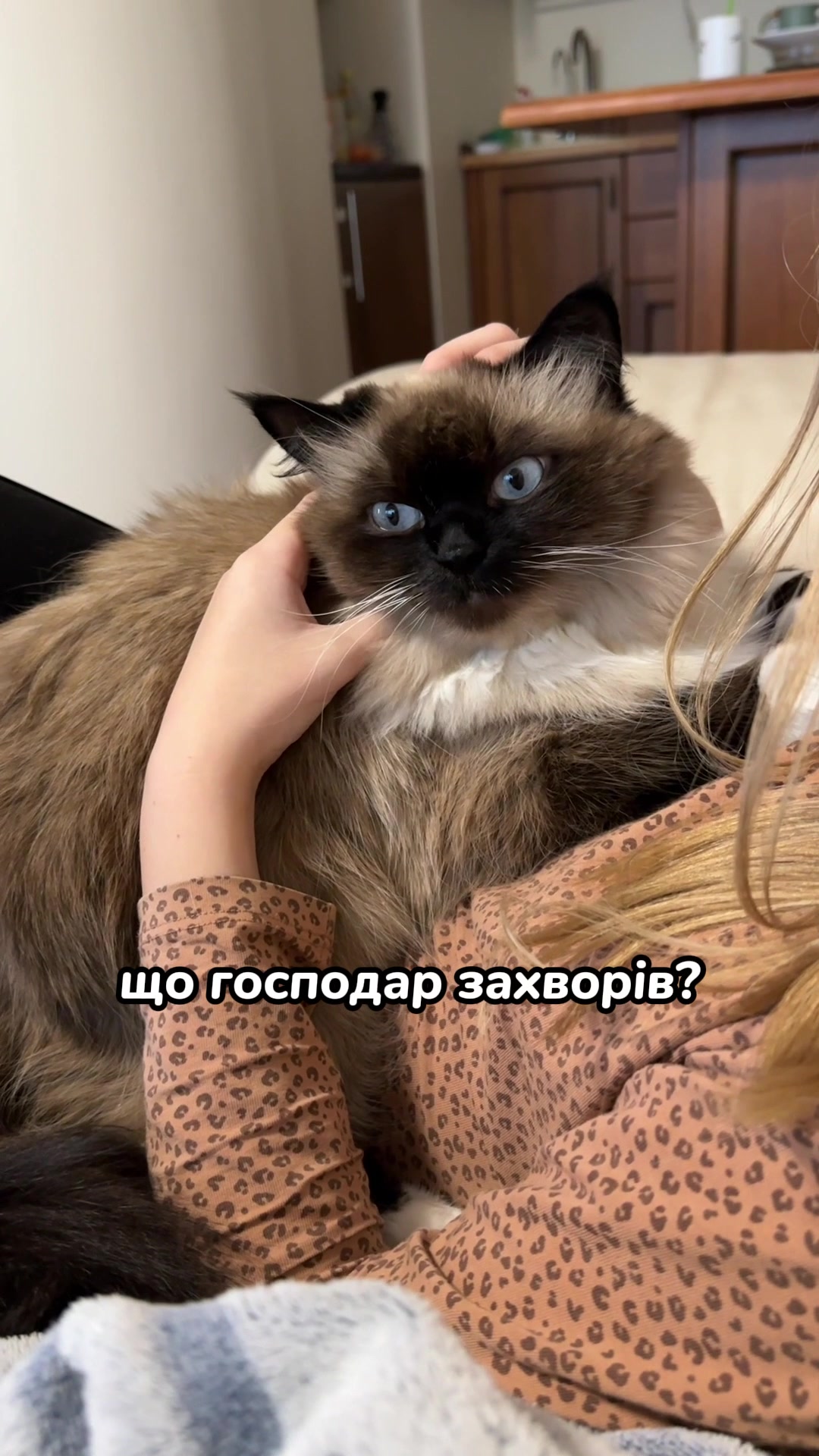 @Місс КІСЯ