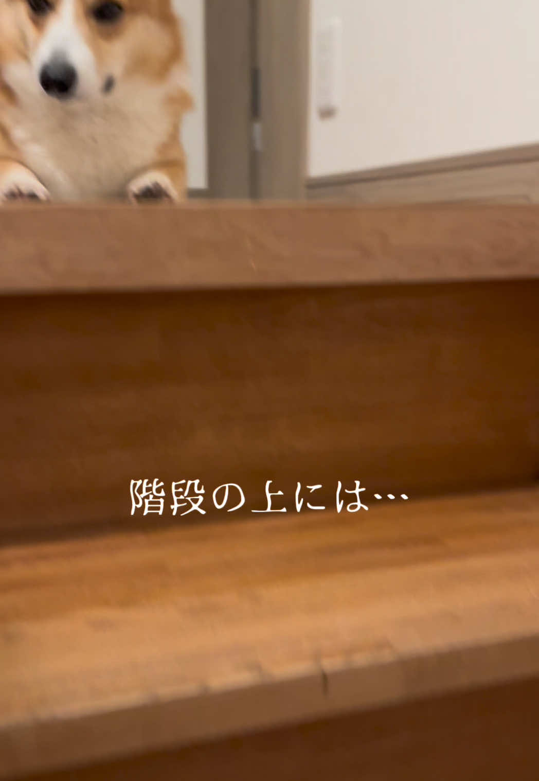 @トロン